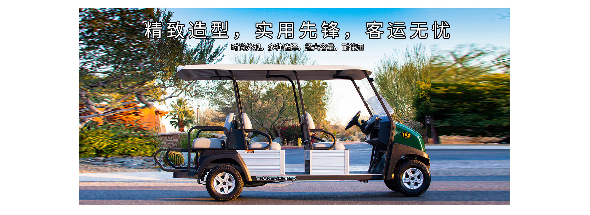 ClubCar T6